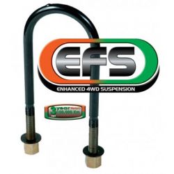 Стремянка ресорна EFS C451