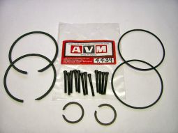 Ремкомплект хабів AVM 4.439