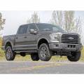 ✔Комплект подвески Rough Country SUSPENSION LIFT KIT для FORD F150 лифт 4 купить в Bezdor4x4.