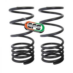 Пружини EFS MIT-102E посилені задні для Mitsubishi Pajero, Pajero Sport, Hyundai Galloper