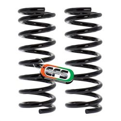 Пружини EFS JEEP-100HDE посилені передні для Jeep Cherokee XJ, Jeep Grand Cherokee ZJ, ZG