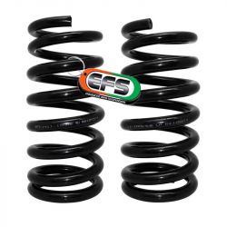 Пружини EFS MIT-103HDE посилені задні для Mitsubishi Pajero 
