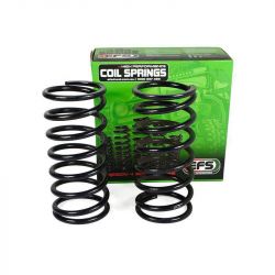 Пружини EFS MUS-100E посилені задні для SsangYong Musso Sports